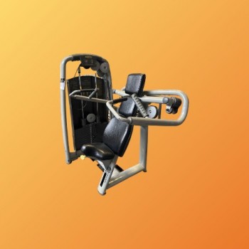 SHOULDER PRESS - TECHNOGYM...
