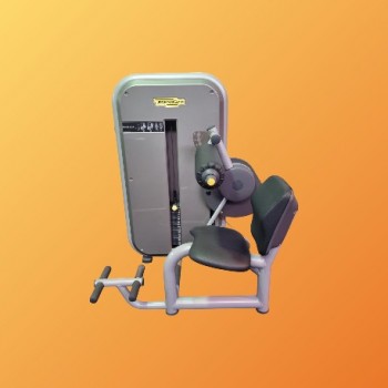 LOWER BACK - TECHNOGYM ELEMENT