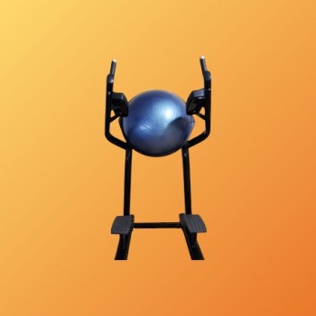 LEG RAISE BOSU - LIFE FITNESS