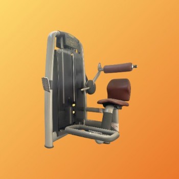LOWER BACK – TECHNOGYM...