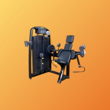 ARM CURL - TECHNOGYM SELECTION