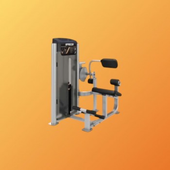 BACK EXTENSION - PRECOR...