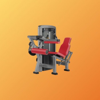 SEATED LEG CURL - LIFE...