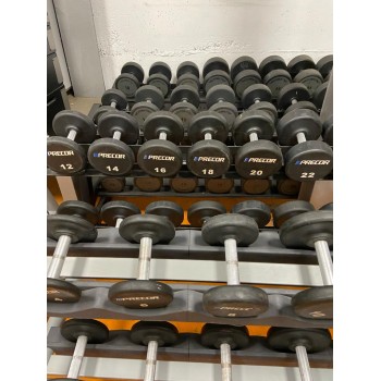 PRECOR DUMBBELL SERIES FROM...
